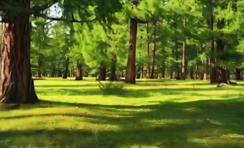 Een kind, spelend in het bos, zag een menselijke hand uit de grond steken ։ Toen zijn vader ter plaatse kwam en de aarde opgroef, was hij geschokt door wat hij zag